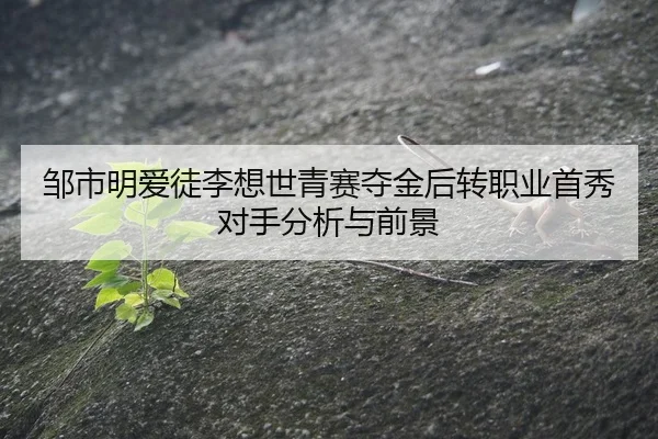 zou-shi-ming-ai-tu-li-xiang-shi-qing-sai-duo-jin-hou-zhuan-zhi-ye-shou-xiu-dui-shou-fen-xi-yu-qian-jing-2-353.jpg