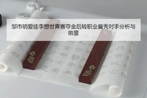 zou-shi-ming-ai-tu-li-xiang-shi-qing-sai-duo-jin-hou-zhuan-zhi-ye-shou-xiu-dui-shou-fen-xi-yu-qian-jing-3-163.jpg