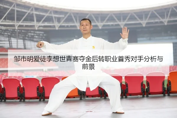 zou-shi-ming-ai-tu-li-xiang-shi-qing-sai-duo-jin-hou-zhuan-zhi-ye-shou-xiu-dui-shou-fen-xi-yu-qian-jing-1-434.jpg